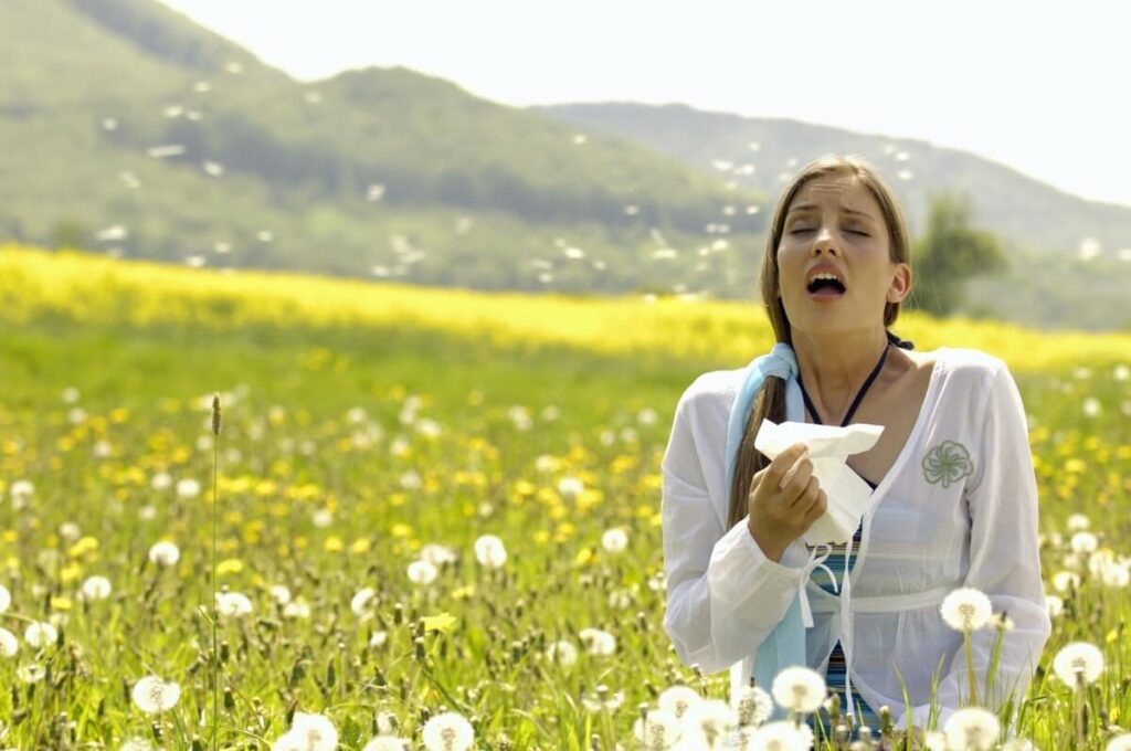 Natural Allergy Relief